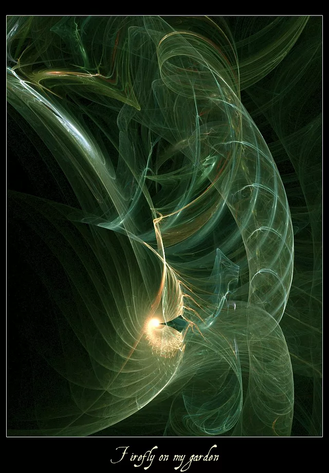 Firefly on my garden