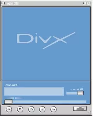 Palm Playa : Palm XIII